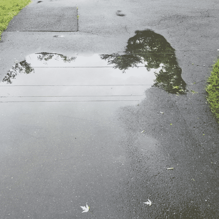 Standing Water on Asphalt and the Importance of Driveway and Parking Lot Drainage